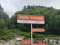 -朝阳沟