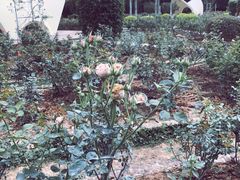 -人民公园(罗湖区)