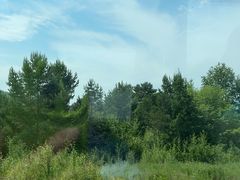 -北极村旅游风景区