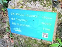 -七仙岭温泉国家森林公园