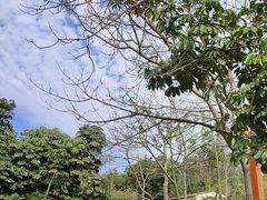 -广东金融学院(校本部)
