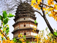-天宁寺