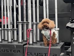 -CrossFit MET综合体能训练馆(朝阳路店)