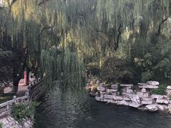 -百脉泉景区