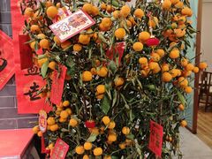 -丰泽园饭店