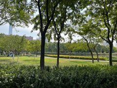 -泰丰公园