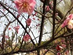-华东政法大学(松江校区)