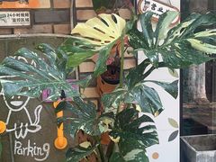-Rabbit Cafe私房西餐甜点咖啡(栖霞路店)