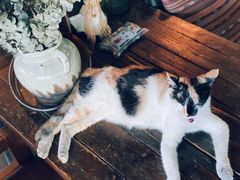 -BUND·FIVE外滩5号(天际店)