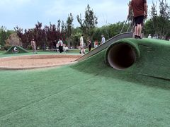 -爪吧宠物乐园 (温榆河示范区店)