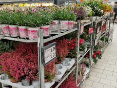 -Kaufland Aachen, Vaalser Str.
