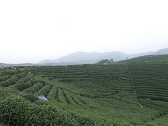 -午潮山国家森林公园