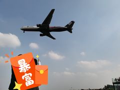 -空港花田景区