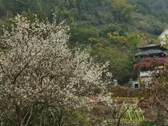 -广东天露山旅游度假区