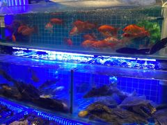 -千家粗粮王(MOMOPARK店)