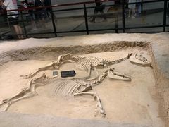 -洛阳周王城天子驾六博物馆