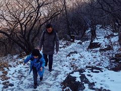 -阳台山自然风景区