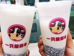 -一只酸奶牛(来福士店)