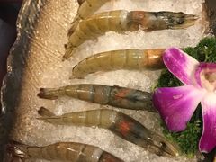 -鼎尊锅物料理(五角场店)
