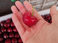 -麦凯乐(开发区店)