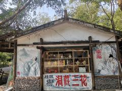 -桂林古东瀑布景区