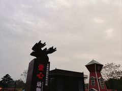 -日照海滨国家森林公园
