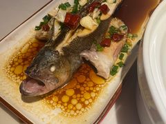 -春天里餐厅(西田城店)