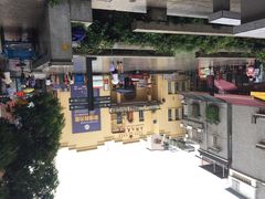 小洲村-小洲村