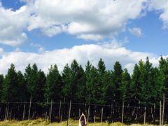 -塞罕坝国家级自然保护区