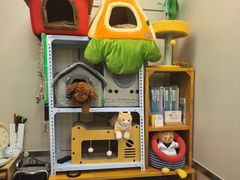 -爱妮康宠物医院·干细胞免疫细胞·肿瘤·心脏(张江店)