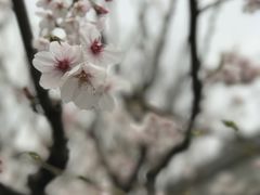-南京东郊国宾馆