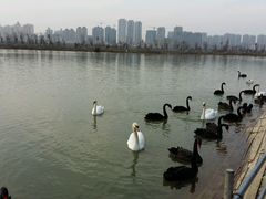 -艾溪湖湿地公园