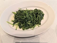 -红城阁·上海味道(四平路店)