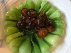 香菇油菜-京食源烧鸽子