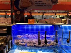 -星伦多自助料理·涮烤一体(虹悦城店)