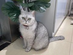 -Oasis绿洲银饰珍珠手作diy(壹方城店)