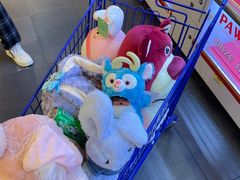 -PAWTOY爪e玩偶店(天兴罗斯福店)