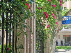 -徐家汇源景区-衡山公园