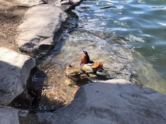 -农园餐厅(北京大学店)