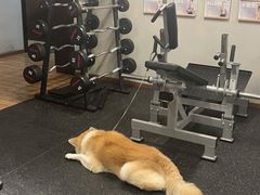 -YCHL Studios健身工作室(市二宫店)