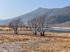 -泸沽湖国家级风景名胜区走婚桥