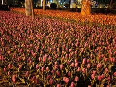 -廊坊文化艺术中心