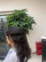 -魔型社烫染店