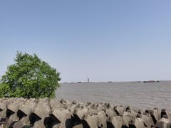 -上海滨江森林公园