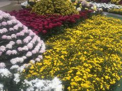 -上海市龙华烈士陵园