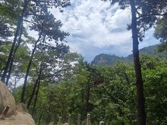 -沂蒙山旅游区云蒙景区(蒙山国家森林公园)