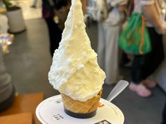 -野人先生Gelato(上海长宁龙之梦店)