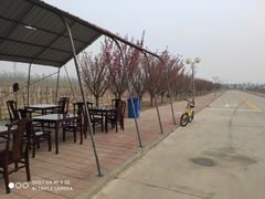 -杨柳青园艺科技博览园