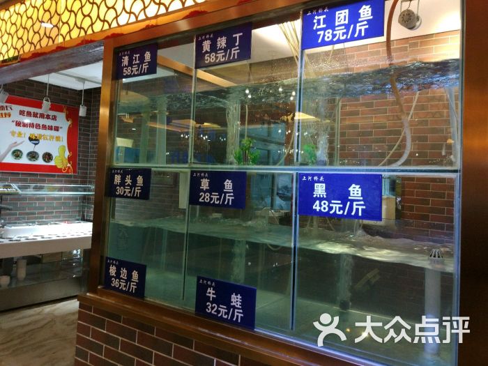 鱼缸