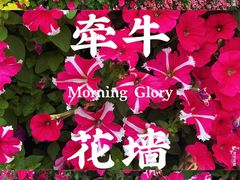 -万达广场(万州店)